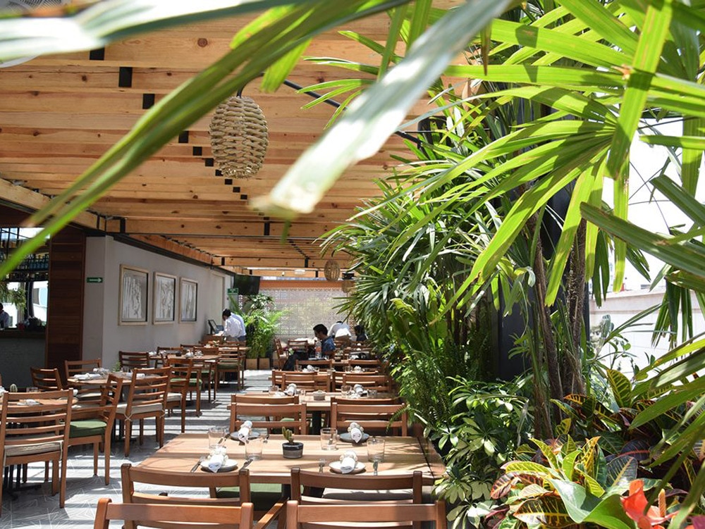 The best restaurants in Mexico City