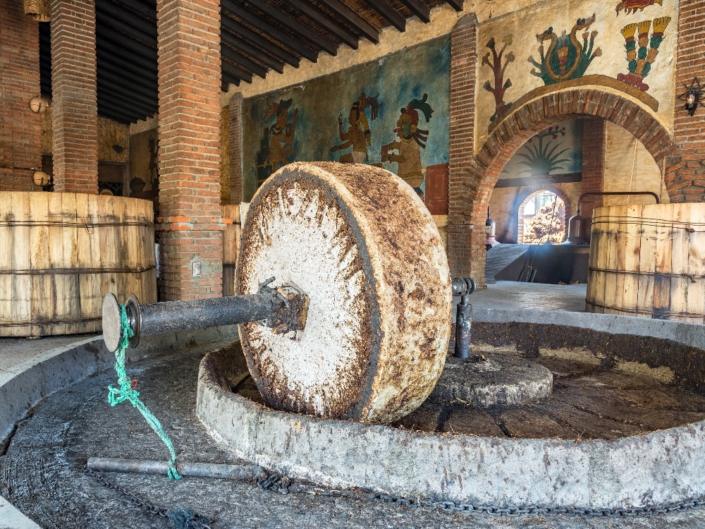 How Mezcal is made
