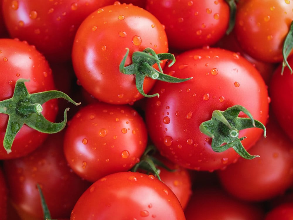 Mexican food - Tomatoes essentials for beginners