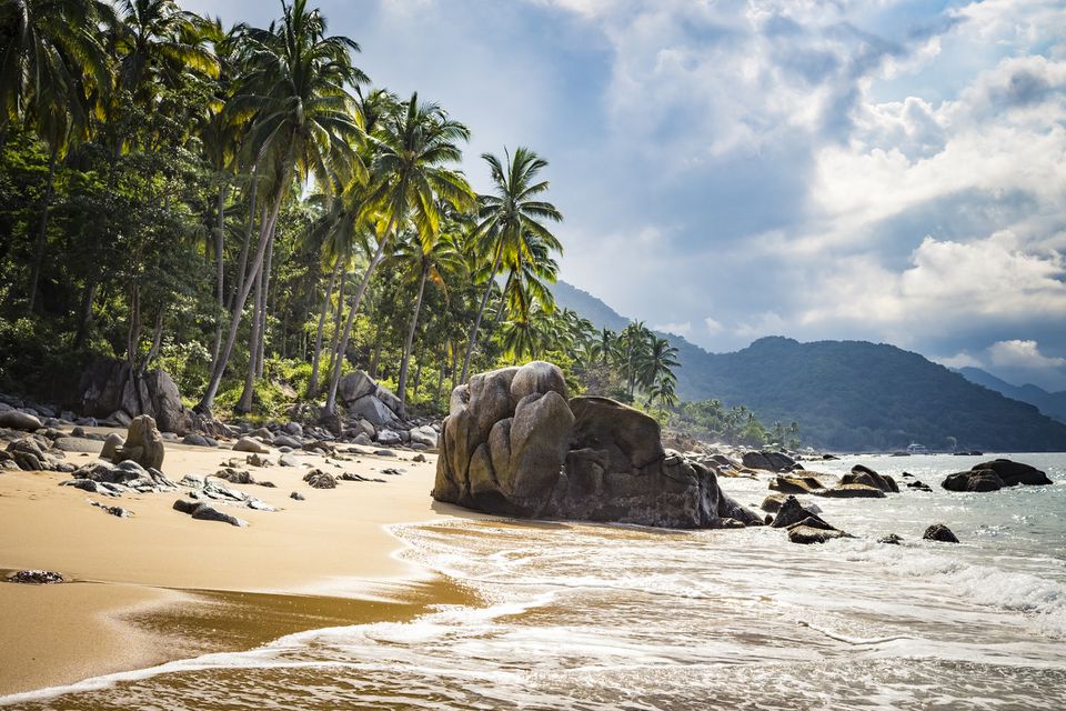 Image result for pacific coast mexico beach and rainforest scenery